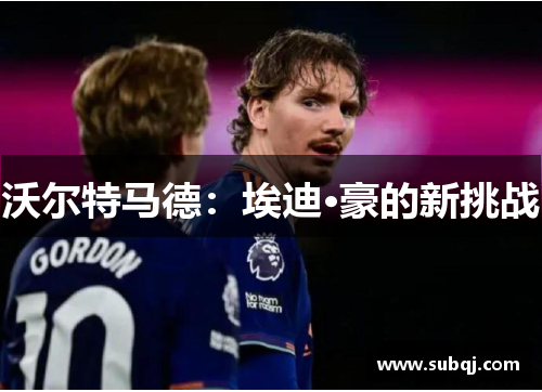 沃尔特马德：埃迪·豪的新挑战